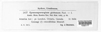 Gymnosporangium globosum image